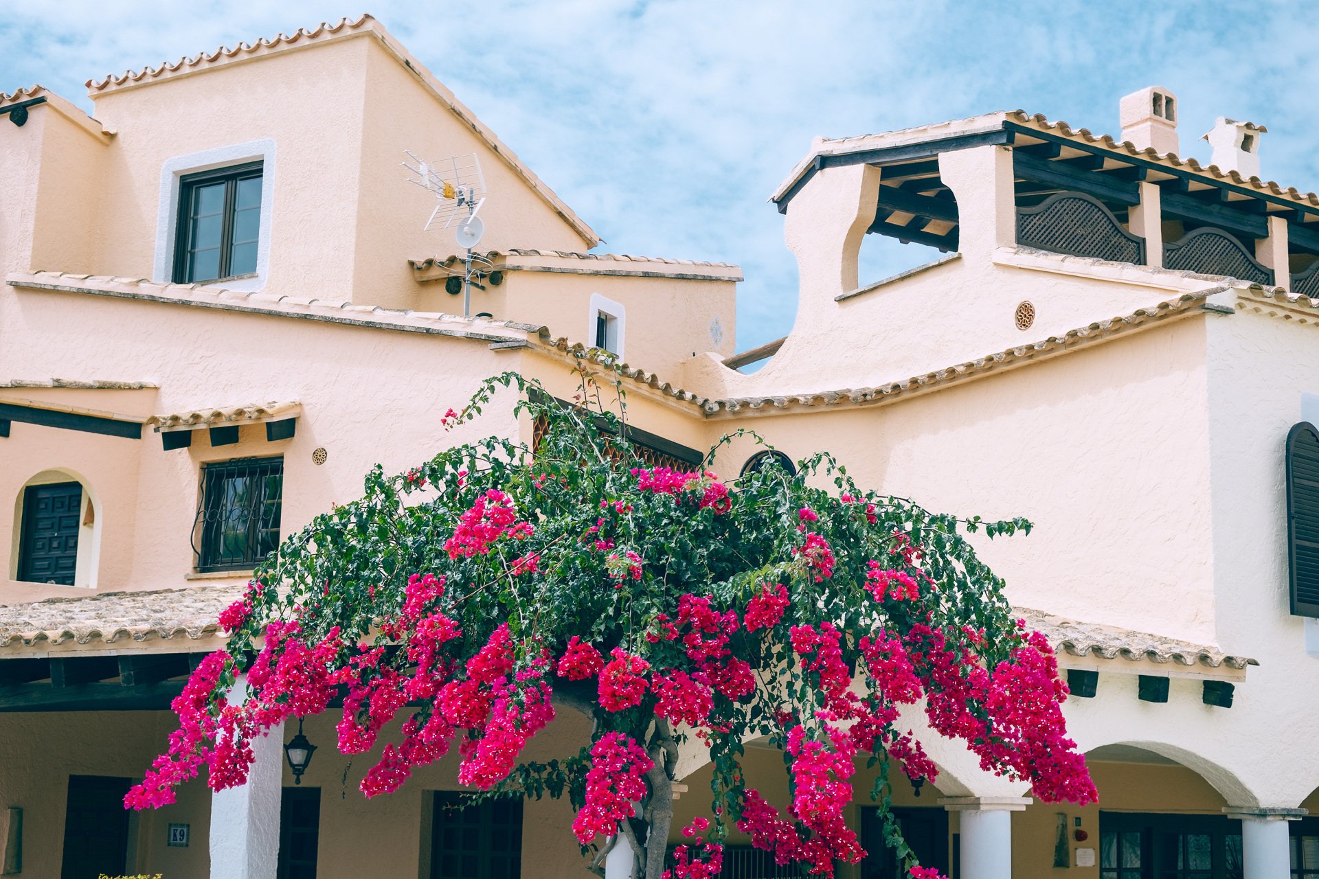 Edificaciones de fachadas claras con tejados de teja, chimeneas, ventanas y una terraza cubierta, junto a una planta de abundantes flores rosas.