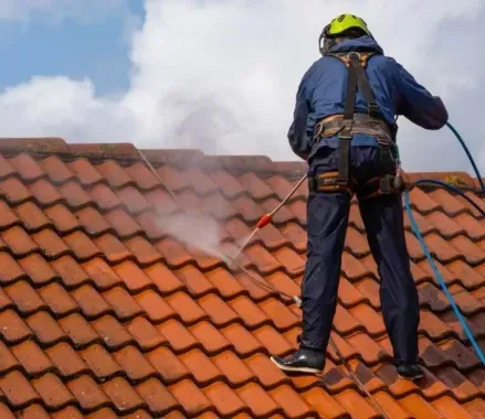 servicio integral de limpieza de tejados en Ponferrada